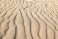 Rippled small sand on sea coast. Dunes on beach formed by wind and water