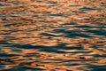 Rippled surface of blue sea water in sunset, orange and teal tones Royalty Free Stock Photo