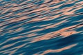 Rippled surface of blue sea water in sunset, blue and pink tones Royalty Free Stock Photo