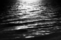 Rippled water surface Royalty Free Stock Photo