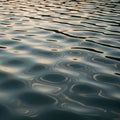 Rippled water surface reflecting soft light, creating a mesmerizing pattern with gentle waves. The Royalty Free Stock Photo