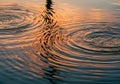 Rippled water surface reflecting a sunset sky with orange and pink Royalty Free Stock Photo