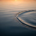 Rippled water surface reflecting a warm, golden sunset. Smooth, gentle waves create a serene Royalty Free Stock Photo
