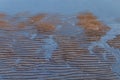 Rippled wet sand and water at the beach texture background Royalty Free Stock Photo