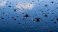 Ripples on dark blue water surface from falling raindrops creating circular patterns Royalty Free Stock Photo
