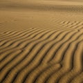 Ripples in fine, brown sand create an undulating pattern, likely formed by wind. The Royalty Free Stock Photo