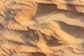 Ripples of fine golden sand cover the Dubai desert, UAE. Royalty Free Stock Photo