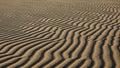 Ripples in fine sand create a mesmerizing pattern across the Royalty Free Stock Photo