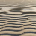 Ripples in fine sand create a pattern of undulating lines, casting shadows that Royalty Free Stock Photo