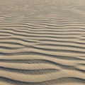 Ripples in fine sand create a pattern of undulating lines, casting shadows that Royalty Free Stock Photo