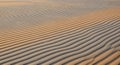Ripples of fine sand create a Royalty Free Stock Photo