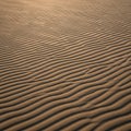 Ripples in fine sand create a Royalty Free Stock Photo