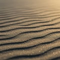 Ripples in fine sand form a pattern across the surface, captured in soft, warm lighting. Royalty Free Stock Photo