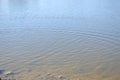 Ripples in the Lake Water Royalty Free Stock Photo