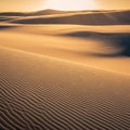 Ripples and patterns back lit in the sand dunes at sunset Royalty Free Stock Photo