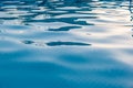 Ripples in pool blue water.