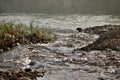 Little Mehoopany creek flows with ripples and rapids into the Susquehanna River Pennsylvania Royalty Free Stock Photo