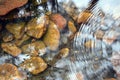 Ripples and reflections in a shallow stream