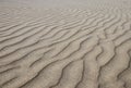 Ripples of Sand on Beach Royalty Free Stock Photo