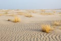 Ripples in the sand of a beach Royalty Free Stock Photo