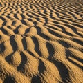 Ripples of sand create an intricate pattern across the surface, suggesting the influence of wind. Royalty Free Stock Photo