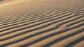 Ripples in sand create a striking pattern, likely shaped by wind. The smooth, fine grains reflect Royalty Free Stock Photo