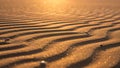 Ripples in sand created by wind bathed in warm golden sunlight Royalty Free Stock Photo