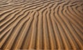 Ripples in the sand created by the wind in a desert Royalty Free Stock Photo