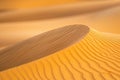 Ripples in the sand of a dune in a desert