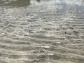 Ripples of Sand at Lowtide