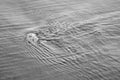 Ripples in sea water as the tide goes out and makes patterns in the sand as the ocean erodes the beach