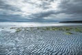 Ripples and seaweed on sandy beach at low tide in evening with dramatic storm clouds in sky