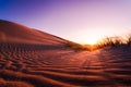 Ripples and shadow of a direct sunset over Kelso dune Royalty Free Stock Photo