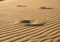 Ripples and small depressions in fine, golden sand create a textured pattern, likely Royalty Free Stock Photo