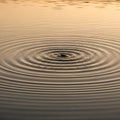 Ripples spread out concentrically across a Royalty Free Stock Photo