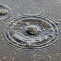 Ripples spread outward in concentric circles on a textured, wet surface, Royalty Free Stock Photo