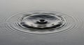 Ripples spread outwards on a calm water surface, creating concentric circles. The central point Royalty Free Stock Photo
