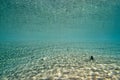 Ripples of sunlight underwater Royalty Free Stock Photo
