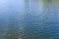 Ripples on surface of blue water, lake or pond, outdoors day Royalty Free Stock Photo