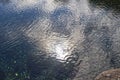 Ripples on the surface of the water in a pond with reflections of the sun Royalty Free Stock Photo