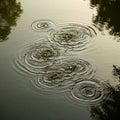The ripples vary in size, suggesting disturbances on the water s surface Royalty Free Stock Photo