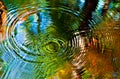 Ripples in Water with Autumn Colors Royalty Free Stock Photo