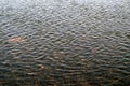 Ripples on water, calmness on river, view of reservoir from the shore Royalty Free Stock Photo