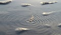 Ripples on Water Surface - Abstract Texture Natural Background Royalty Free Stock Photo