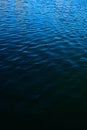 Ripples on dark blue water vertical image. Royalty Free Stock Photo