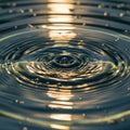 Ripples on a water surface punctuated by a central splash, creat Royalty Free Stock Photo