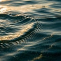 Ripples on a water surface reflecting soft golden light from the setting Royalty Free Stock Photo