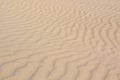Ripples and waves in dry windblown sand Royalty Free Stock Photo