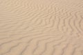 Ripples and waves in dry windblown sand