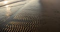 Ripples in wet sand create a Royalty Free Stock Photo
